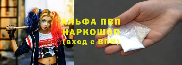 эйфоретик Баксан