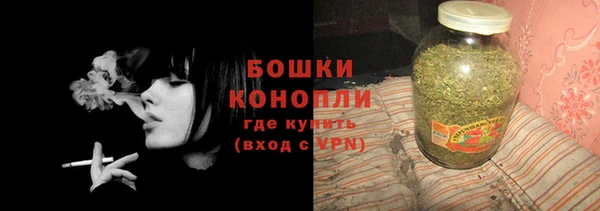 прущие грибы Гусиноозёрск