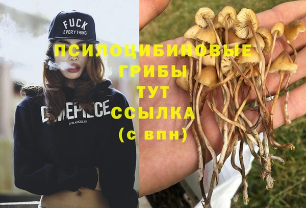 кокаин премиум Каменногорск