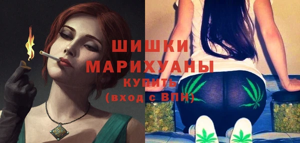 бошки Гусев