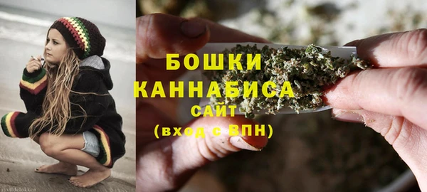 соль ск Касимов